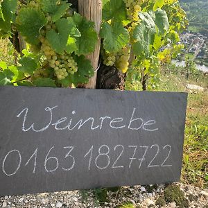 Weinrebe